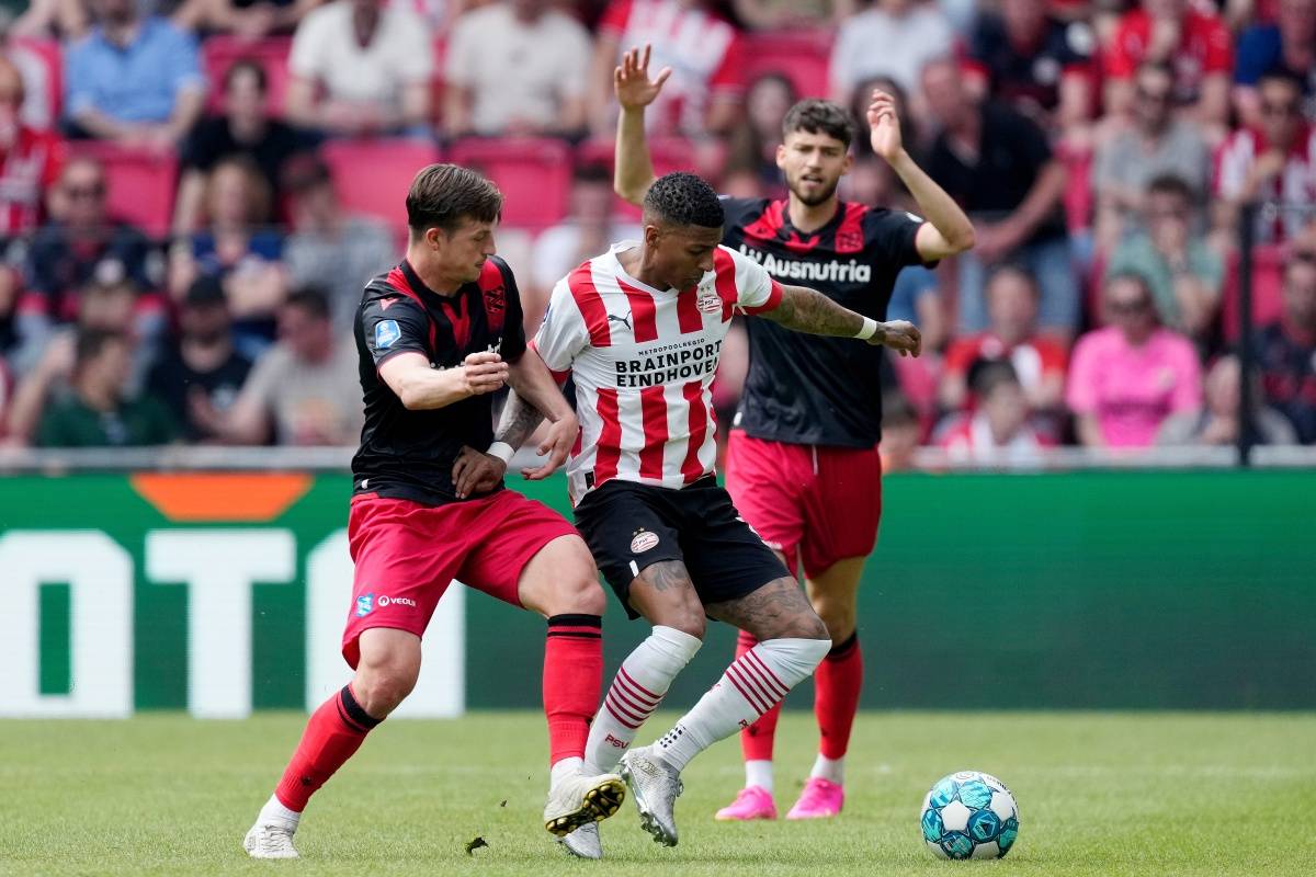 帕利尼亚对 帕利尼亚对